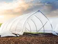Tunnel Greenhouse